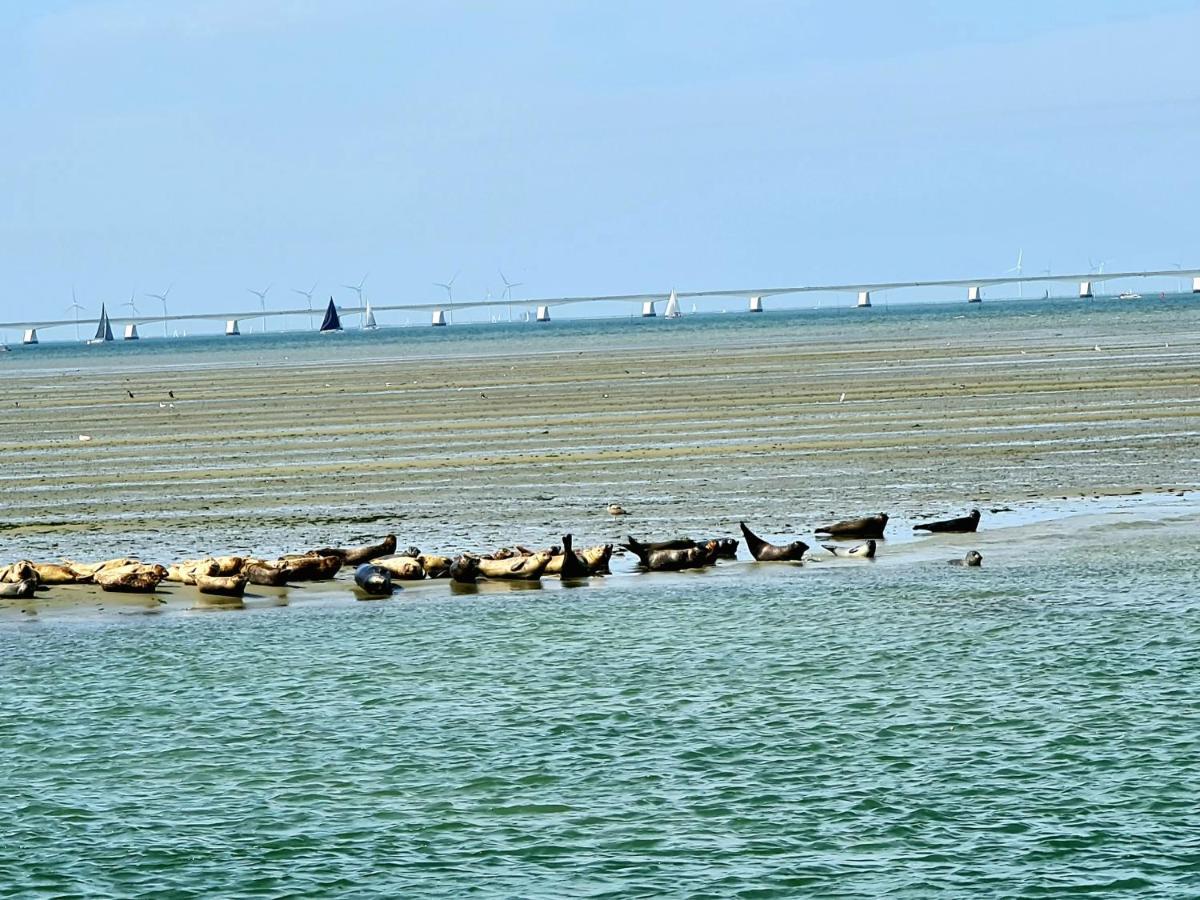 De Corner Van Zeeland Met Jacuzzi Sint-Annaland Eksteriør bilde